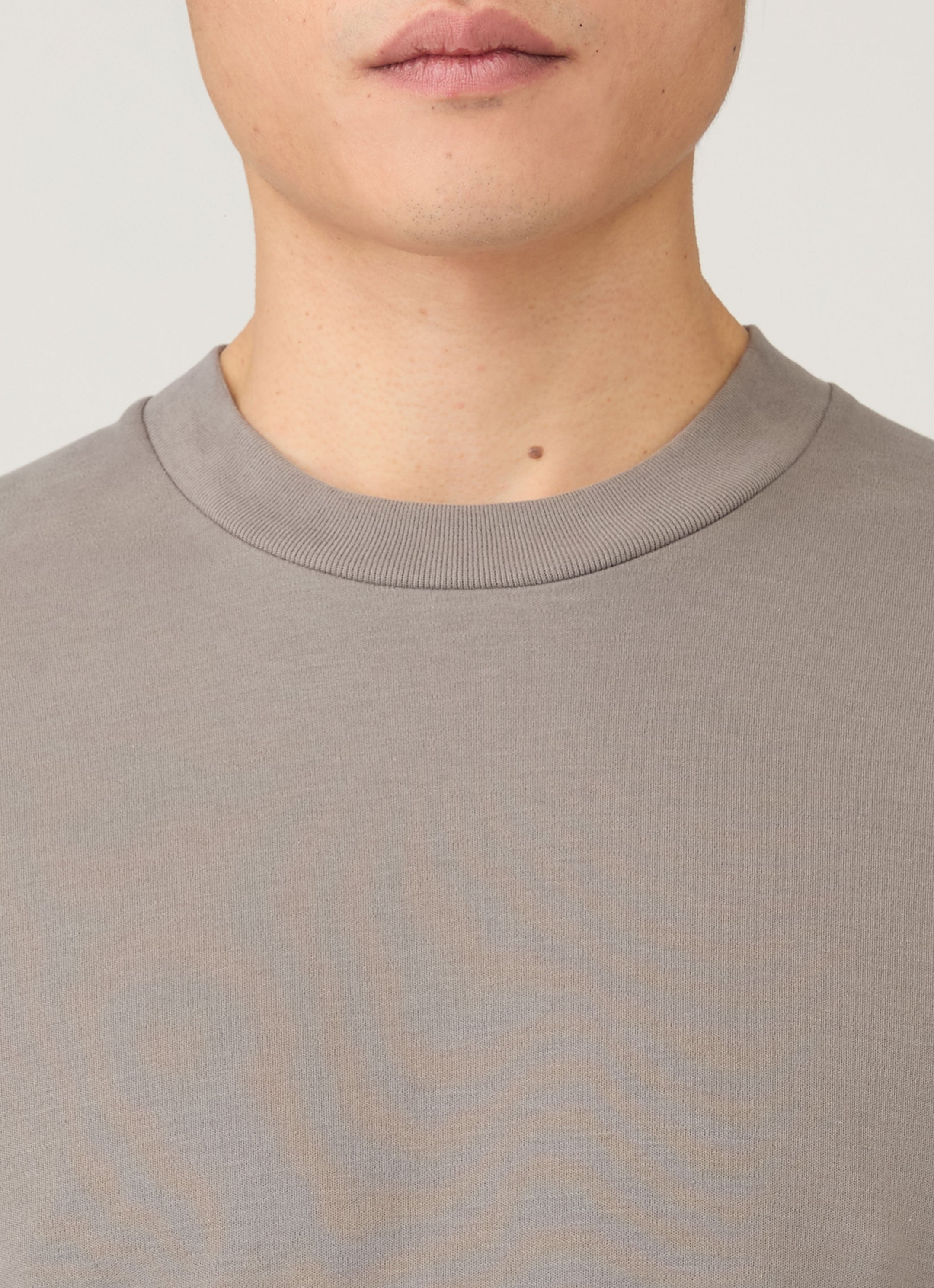Men's Relaxed Fit Heavyweight T-shirt in Iron Grey