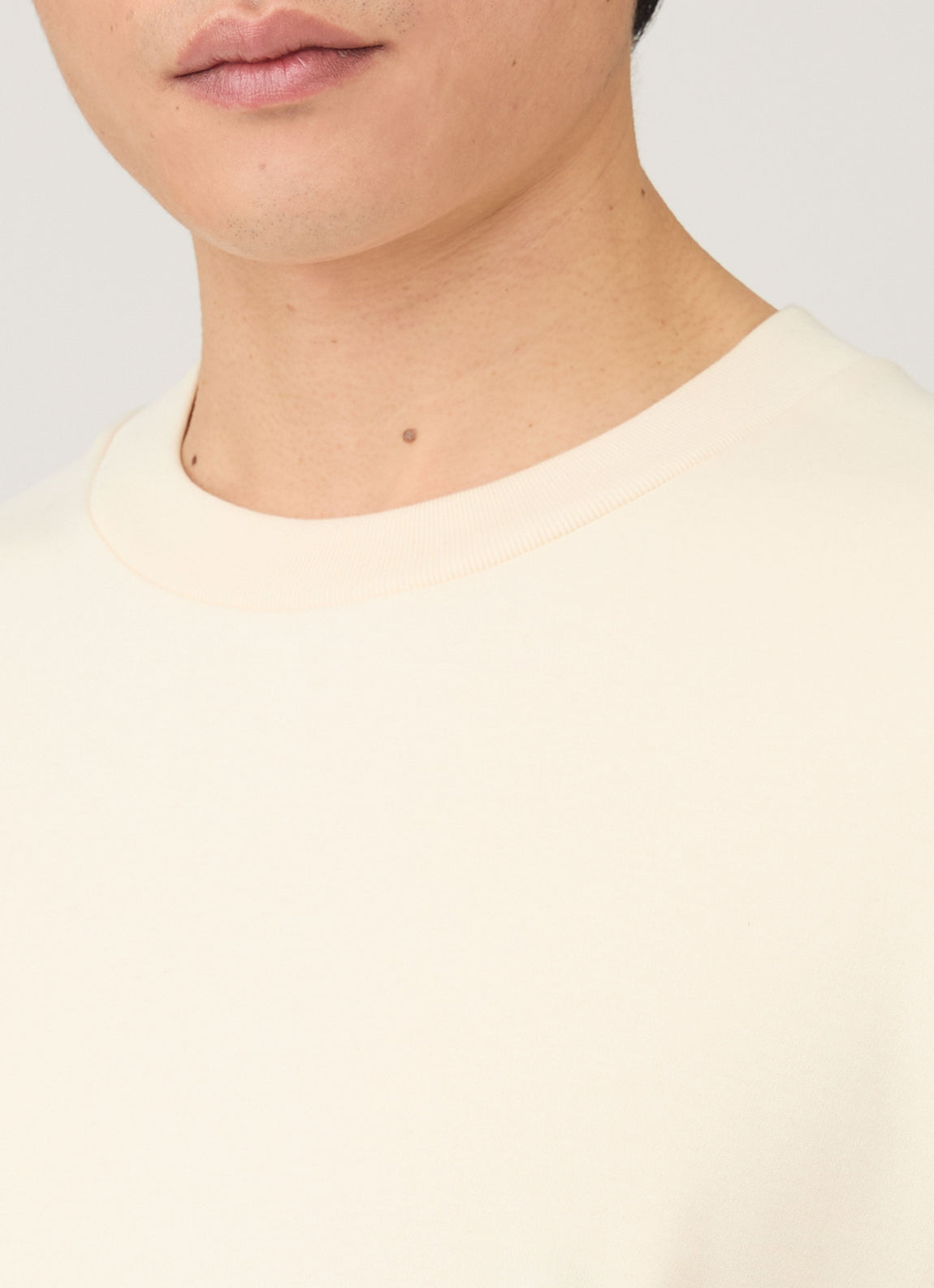 Men's Long Sleeve Heavyweight T-shirt in Undyed