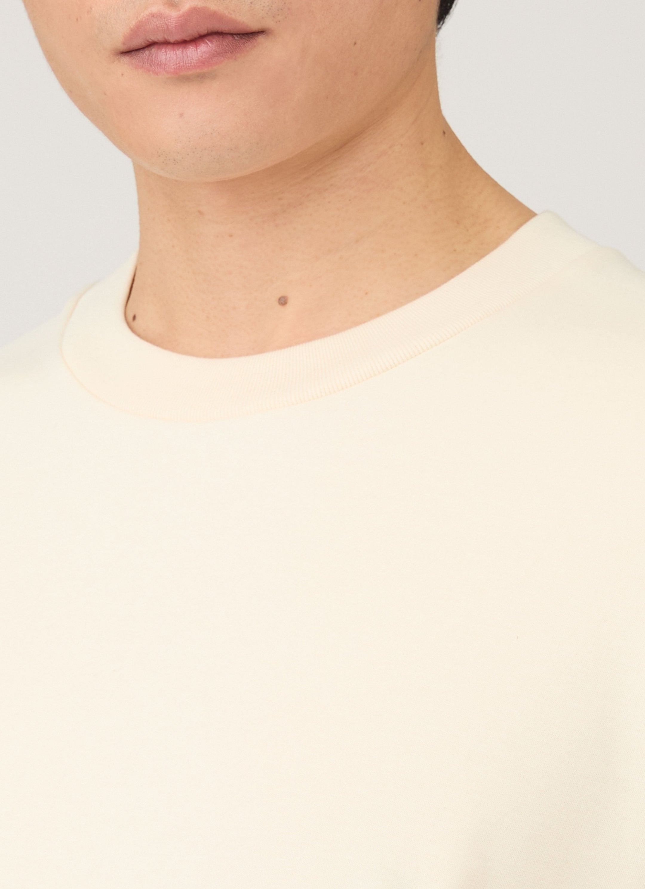Men's Long Sleeve Heavyweight T-shirt in Undyed