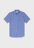 Blue Gingham