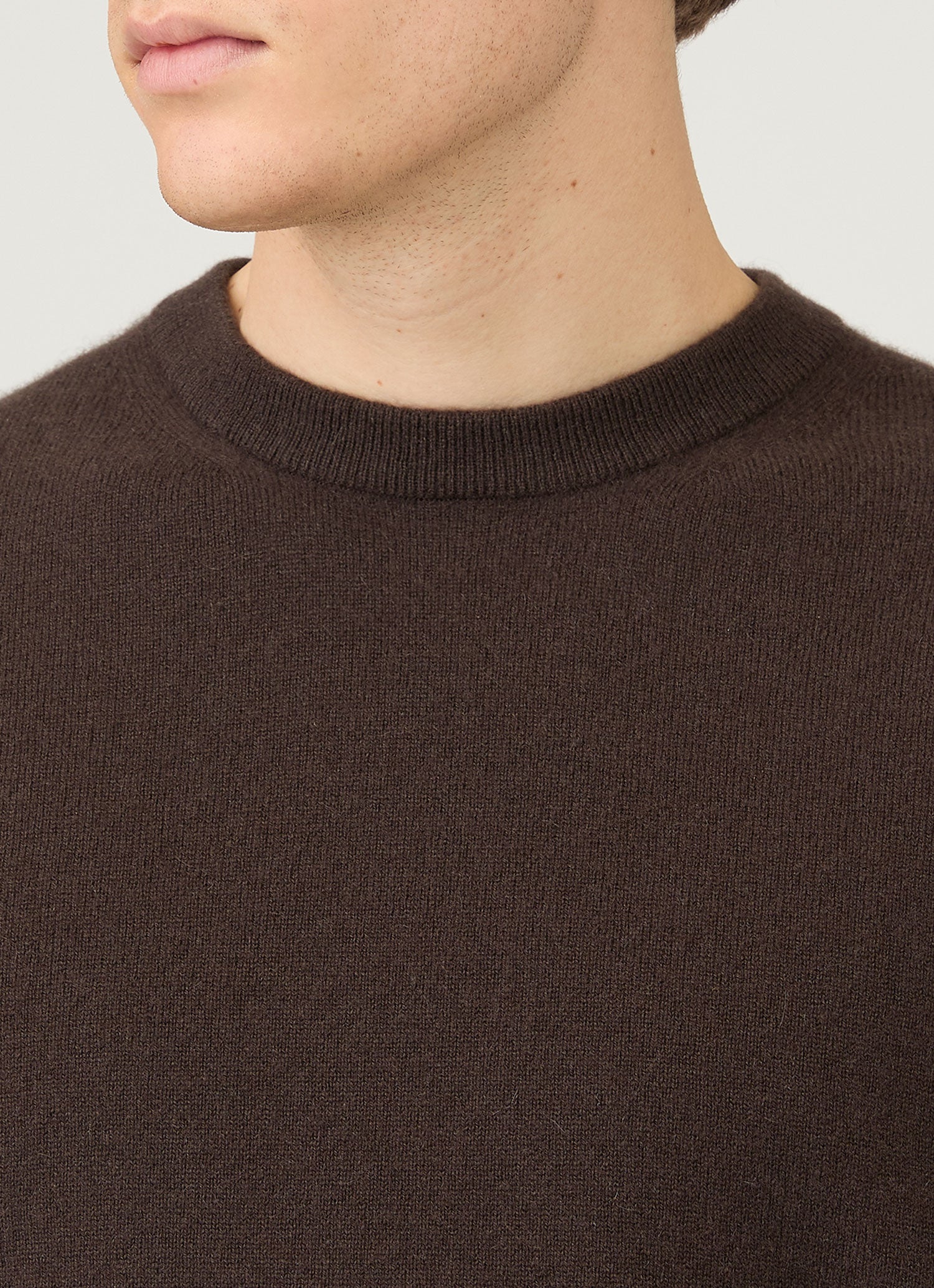 Men's Cashmere Crew Neck Jumper in Truffle