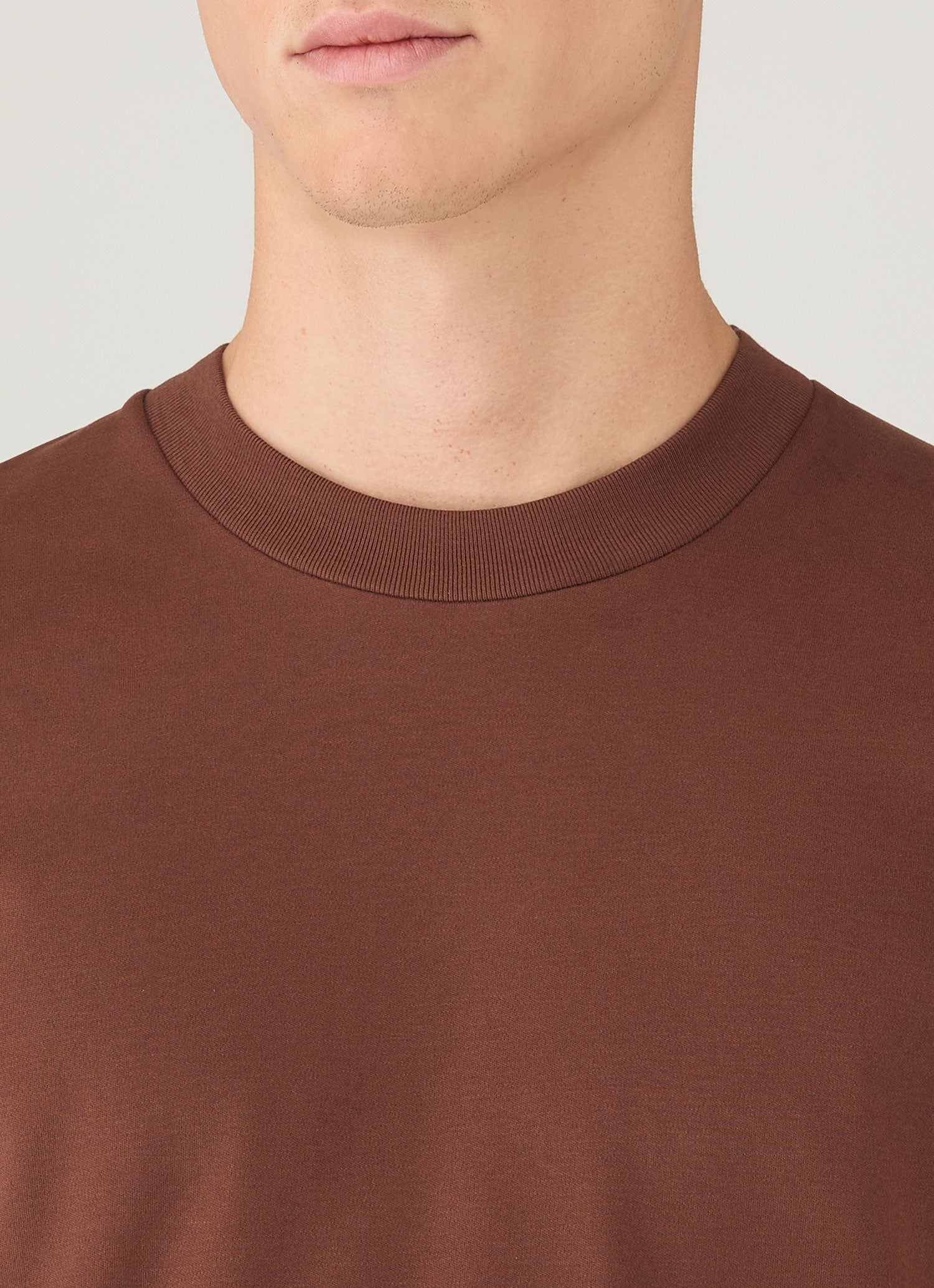 Men's Relaxed Fit Heavyweight T-shirt in Conker Brown