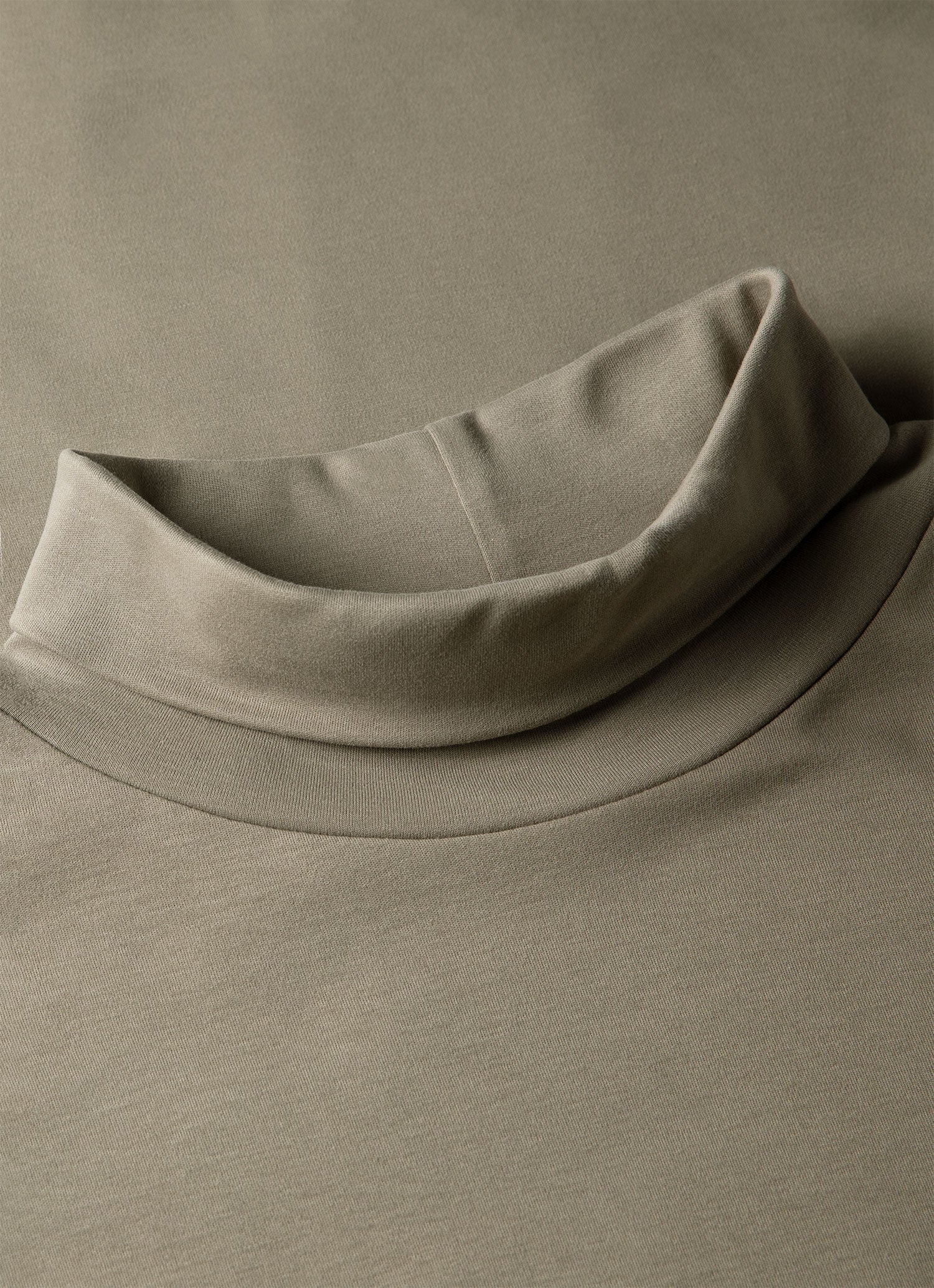 Men's Sunspel x Nigel Cabourn Carbon Brushed Roll Neck in Earth